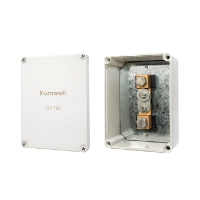 Kumwell_GYPTB_01